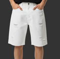 BERMUDA Basic distroyd
