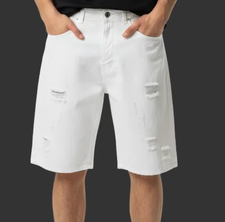 BERMUDA Basic distroyd